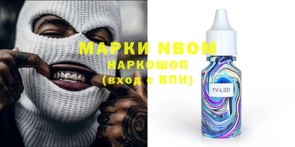прущие грибы Аркадак