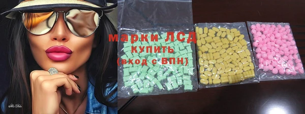 прущие грибы Аркадак