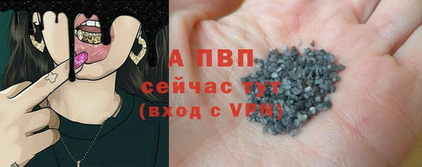 прущие грибы Аркадак
