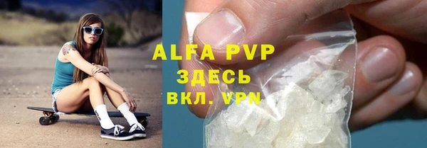 прущие грибы Аркадак