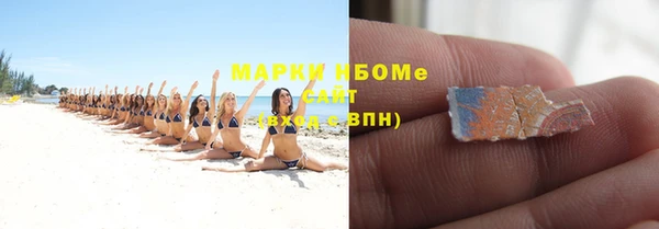 прущие грибы Аркадак