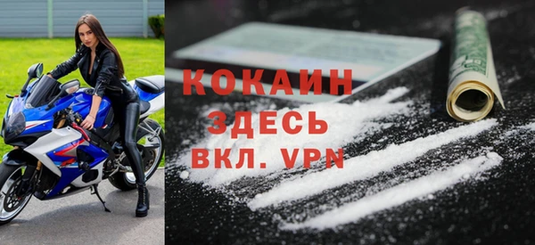 прущие грибы Аркадак