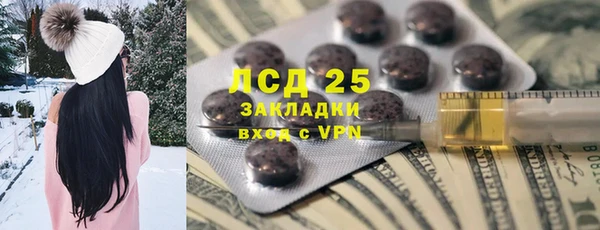 прущие грибы Аркадак